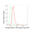 KD-Validated Phospho-p38 (T180) Rabbit mAb (20 μl)