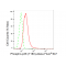 KD-Validated Phospho-p38 (T180) Rabbit mAb (20 μl)