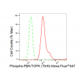 KD-Validated Phospho-PBK (Thr9) Rabbit mAb (20 μl)
