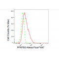 KD-Validated PFKFB3 Rabbit mAb (20 μl)