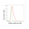 KD-Validated PFKFB3 Rabbit mAb (20 μl)
