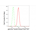 KD-Validated TUBG1 Rabbit mAb (20 μl)