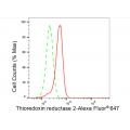KD-Validated TXNRD2 Rabbit mAb (20 μl)