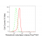 KD-Validated TXNRD2 Rabbit mAb (20 μl)