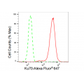 KD-Validated Ku70 Rabbit mAb (20 μl)