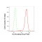 KD-Validated Ku70 Rabbit mAb (20 μl)