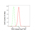 KD-Validated YES1 Rabbit mAb (20 μl)