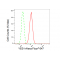 KD-Validated YES1 Rabbit mAb (20 μl)