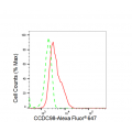 KD-Validated CCDC98 Rabbit mAb (20 μl)
