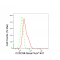 KD-Validated CCDC98 Rabbit mAb (20 μl)