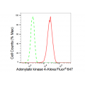 KD-Validated AK4 Rabbit mAb (20 μl)