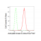 KD-Validated AK4 Rabbit mAb (20 μl)
