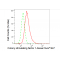 KD-Validated CSF1 Rabbit mAb (20 μl)