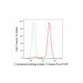 KD-Validated CTBP2 Rabbit mAb (20 μl)