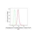 KD-Validated DGAT1 Rabbit mAb (20 μl)