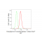 KD-Validated DGAT1 Rabbit mAb (20 μl)