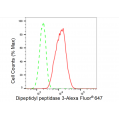 KD-Validated DPP3 Rabbit mAb (20 μl)