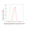 KD-Validated DPP3 Rabbit mAb (20 μl)