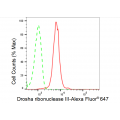 KD-Validated DROSHA Rabbit mAb (20 μl)