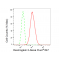 KD-Validated DSG2 Rabbit mAb (20 μl)