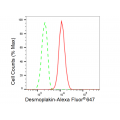KD-Validated DSP Rabbit mAb (20 μl)