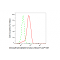 KD-Validated DTYMK Rabbit mAb (20 μl)