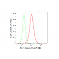 KD-Validated DUT Rabbit mAb (20 μl)