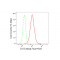 KD-Validated DUT Rabbit mAb (20 μl)
