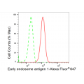 KD-Validated EEA1 Rabbit mAb (20 μl)