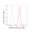 KD-Validated EIF2AK4 Rabbit mAb (20 μl)