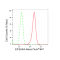 KD-Validated EIF2AK4 Rabbit mAb (20 μl)