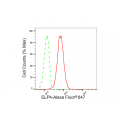 KD-Validated ELP4 Rabbit mAb (20 μl)