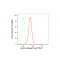 KD-Validated ELP4 Rabbit mAb (20 μl)