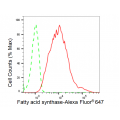 KD-Validated FASN Rabbit mAb (20 μl)
