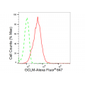 KD-Validated GCLM Rabbit mAb (20 μl)
