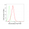 KD-Validated GCLM Rabbit mAb (20 μl)