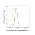 KD-Validated GLA Rabbit mAb (20 μl)