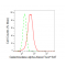 KD-Validated GLA Rabbit mAb (20 μl)