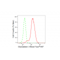 KD-Validated GLO1 Rabbit mAb (20 μl)
