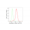 KD-Validated GLO1 Rabbit mAb (20 μl)