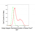 KD-Validated GOLIM4 Rabbit mAb (20 μl)