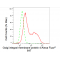 KD-Validated GOLIM4 Rabbit mAb (20 μl)