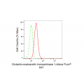 KD-Validated GOT1 Rabbit mAb (20 μl)