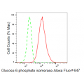 KD-Validated GPI Rabbit mAb (20 μl)
