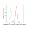 KD-Validated GPX1 Rabbit mAb (20 μl)
