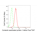 KD-Validated CNTNAP1 Rabbit mAb (20 μl)