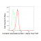 KD-Validated CNTNAP1 Rabbit mAb (20 μl)