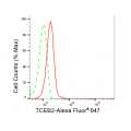 KD-Validated TCEB2 Rabbit mAb (20 μl)