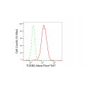 KD-Validated TCEB2 Rabbit mAb (20 μl)