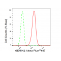 KD-Validated GEMIN2 Rabbit mAb (20 μl)